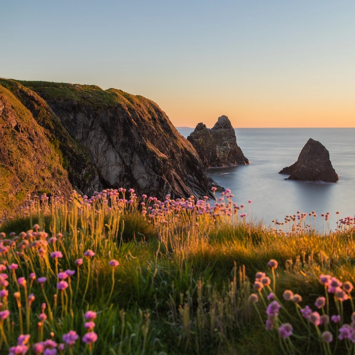 Wales Pembrokeshire Coast | MICE Travel | Horizons