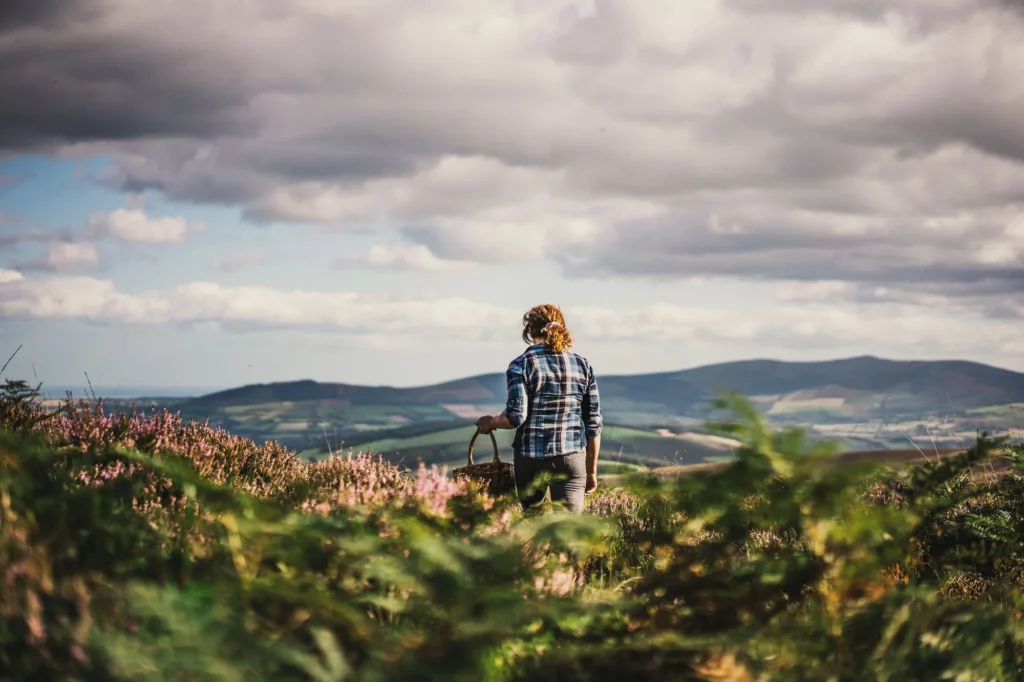 Forage the wilds and cook in a certified organic restaurant