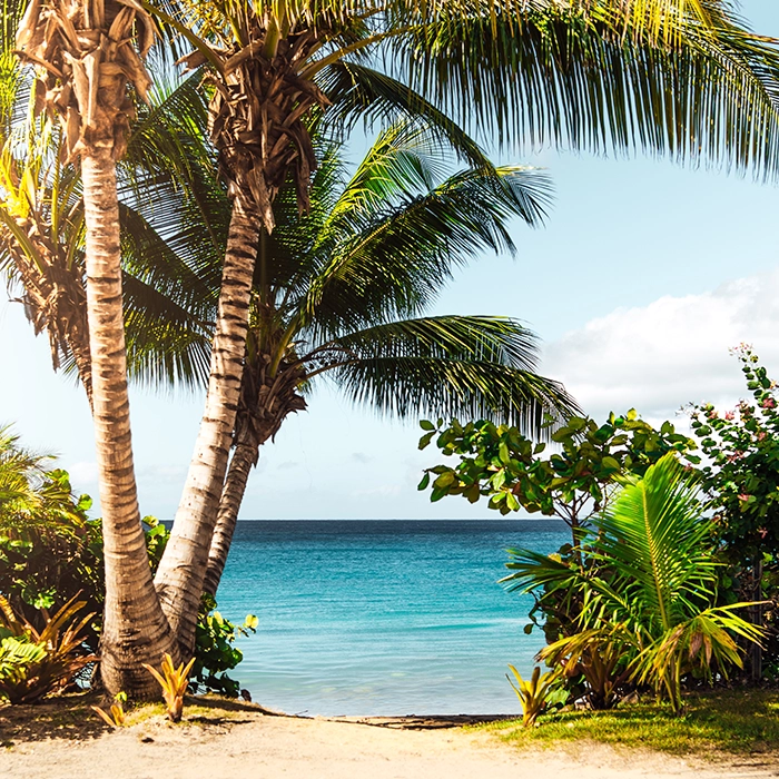 Beach | Outbound International | MICE Travel | Horizons