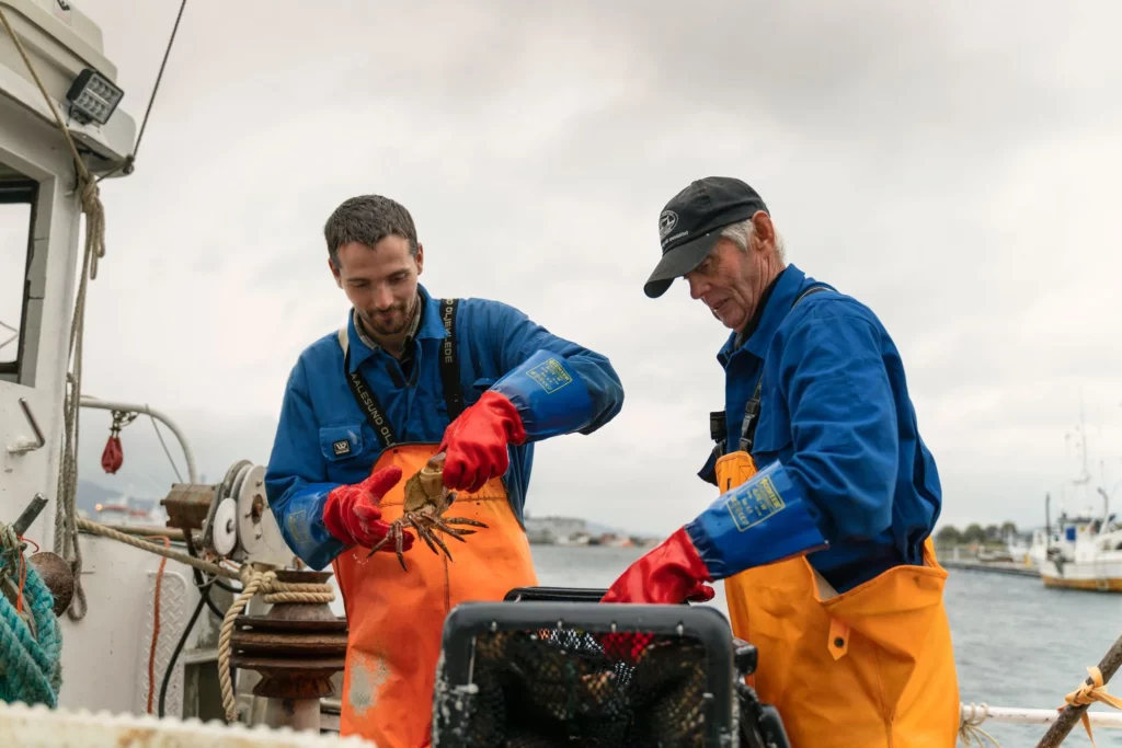 Kirkenes King Crab