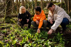 Forage the wilds and cook in a certified organic restaurant