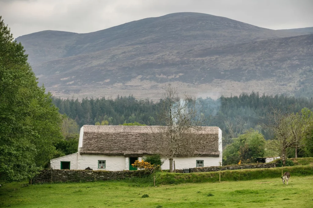 Muckross Farms