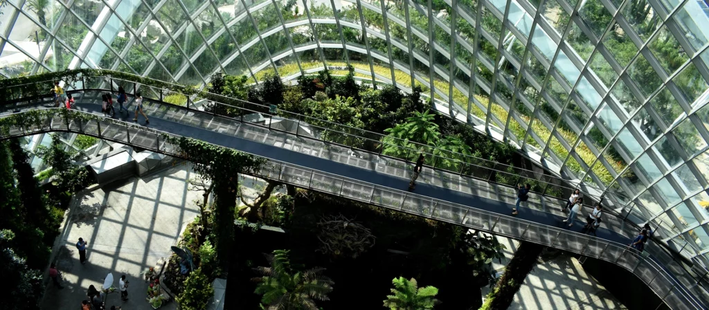 Green walkway | CSR | Corporate Social Responsibility | Horizons