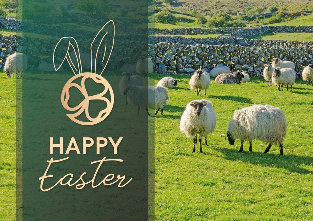 Wishing you and all your loved ones a very Happy Easter!