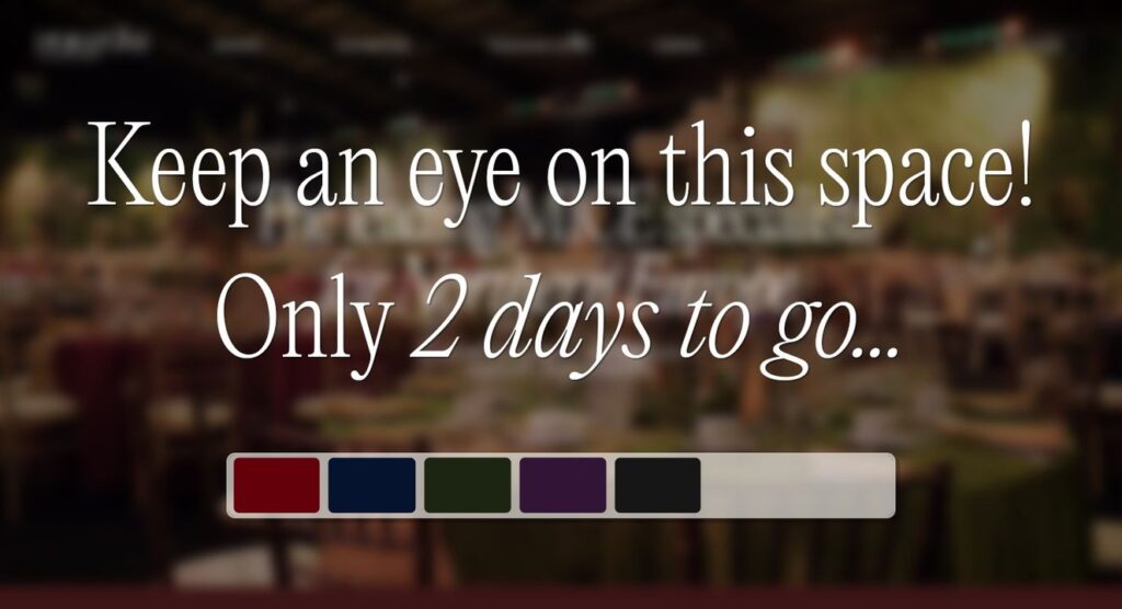 2 days left until the big reveal!