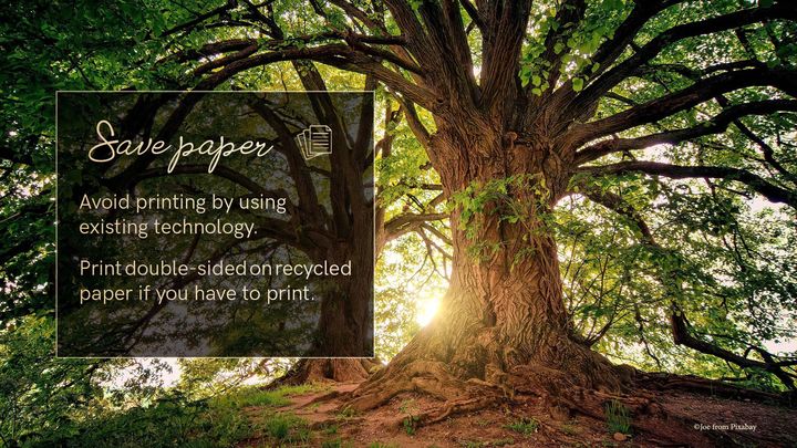 Tomorrow, we celebrate Earth Day!