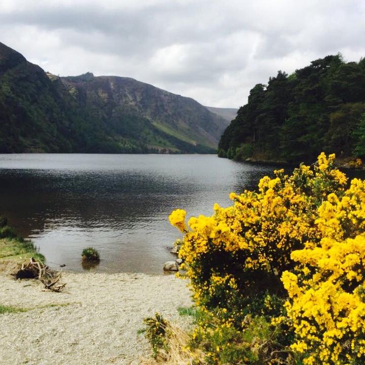 Aren’t we lucky to be so close to such a spectacular Irish gem?